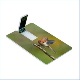 Credit Card USB Flash Drive 06